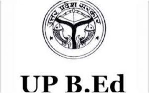 up bed 2020