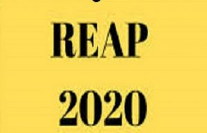 Reap 2020 result