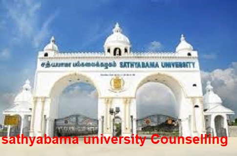 SAEEE Counselling 2020