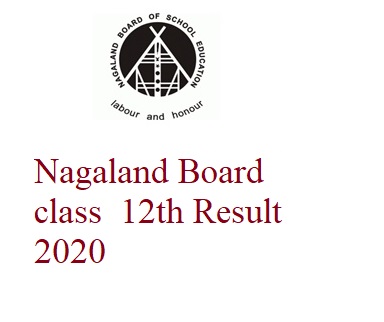 Nagaland 12th Results 2020