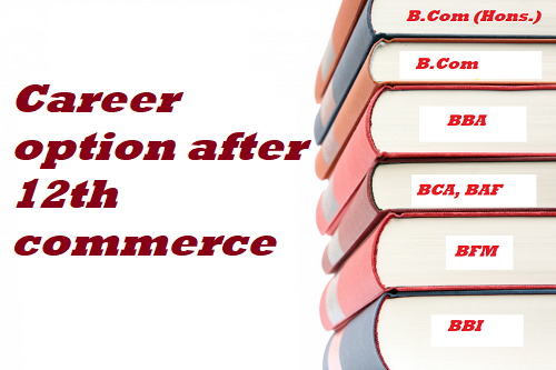 Career option after 12th commerce