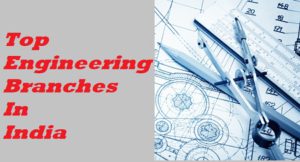 Top Engineering Branches