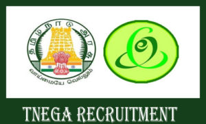 TNeGA Recruitment 2020