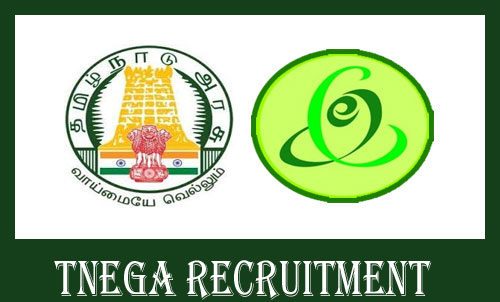 TNeGA Recruitment 2020