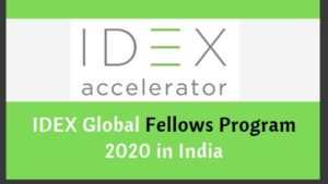 IDEX Fellowship 2020