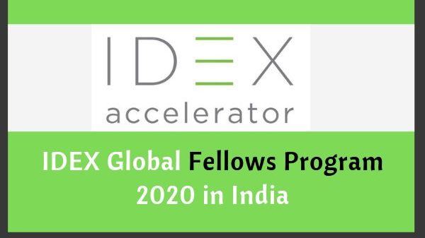 IDEX Fellowship 2020