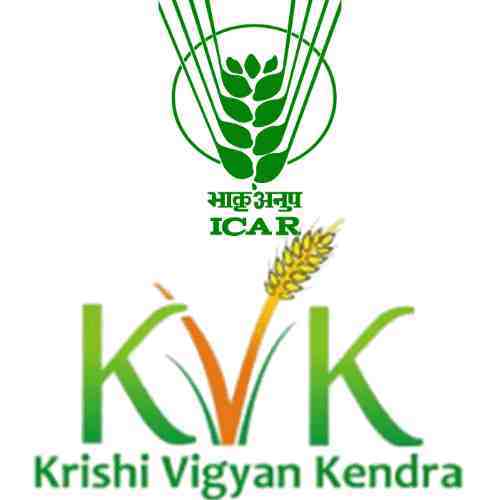 KVK Medak Recruitment 2020