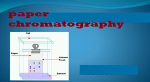 paper chromatography