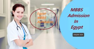 Study mbbs in Egypt 2021